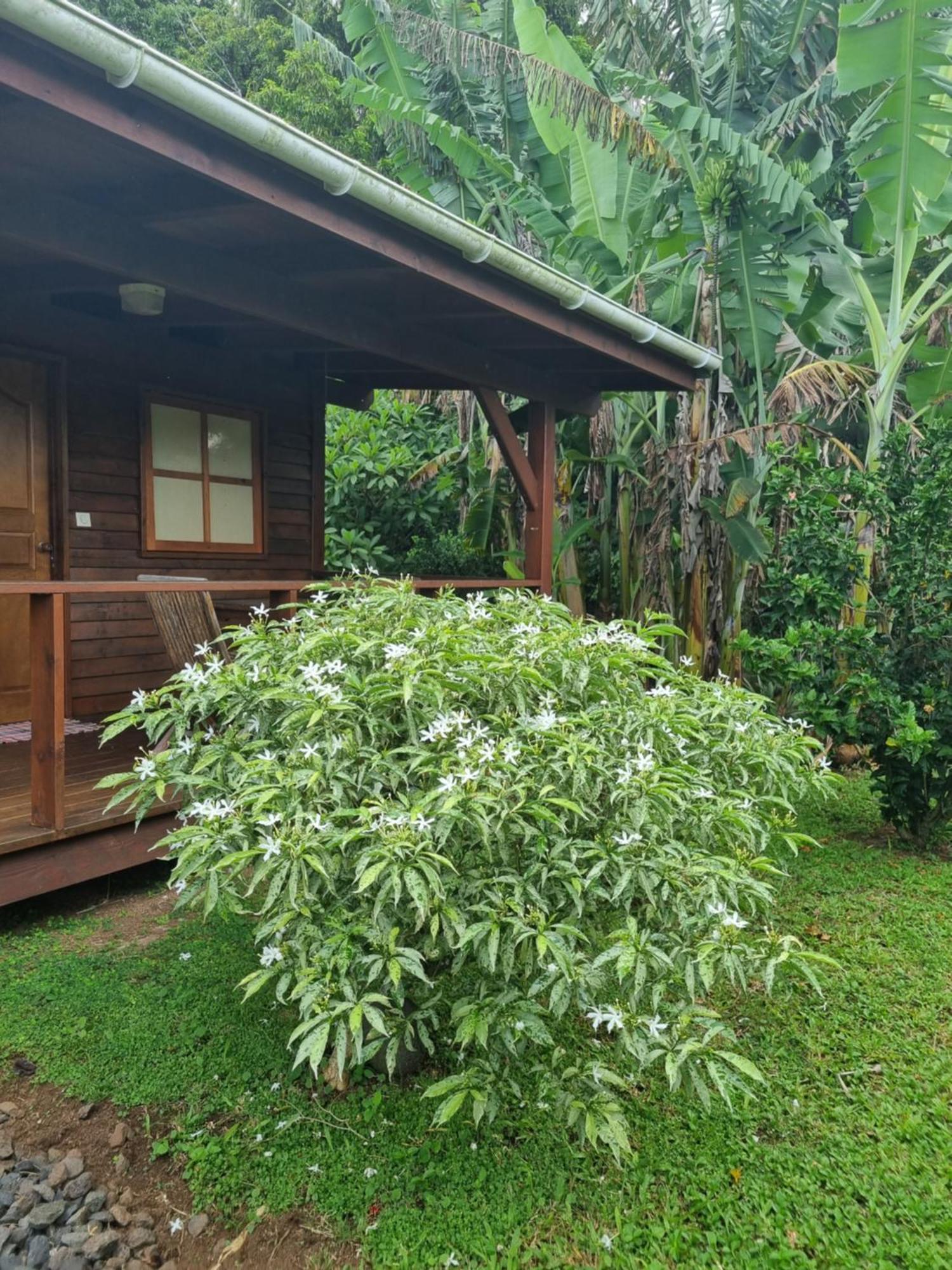 Hostel PainaPaopao Backpacker Moorea Zewnętrze zdjęcie