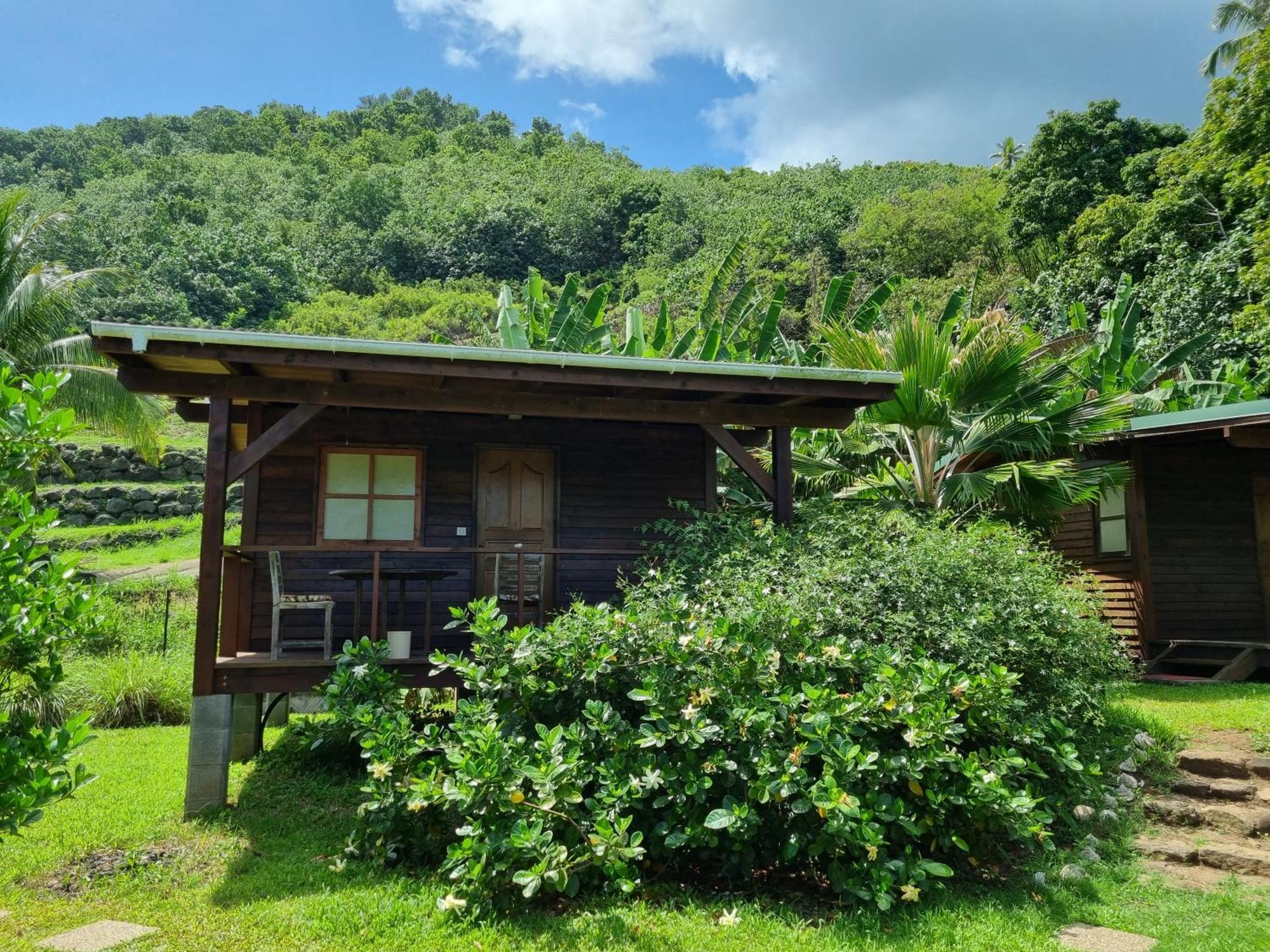 Hostel PainaPaopao Backpacker Moorea Zewnętrze zdjęcie