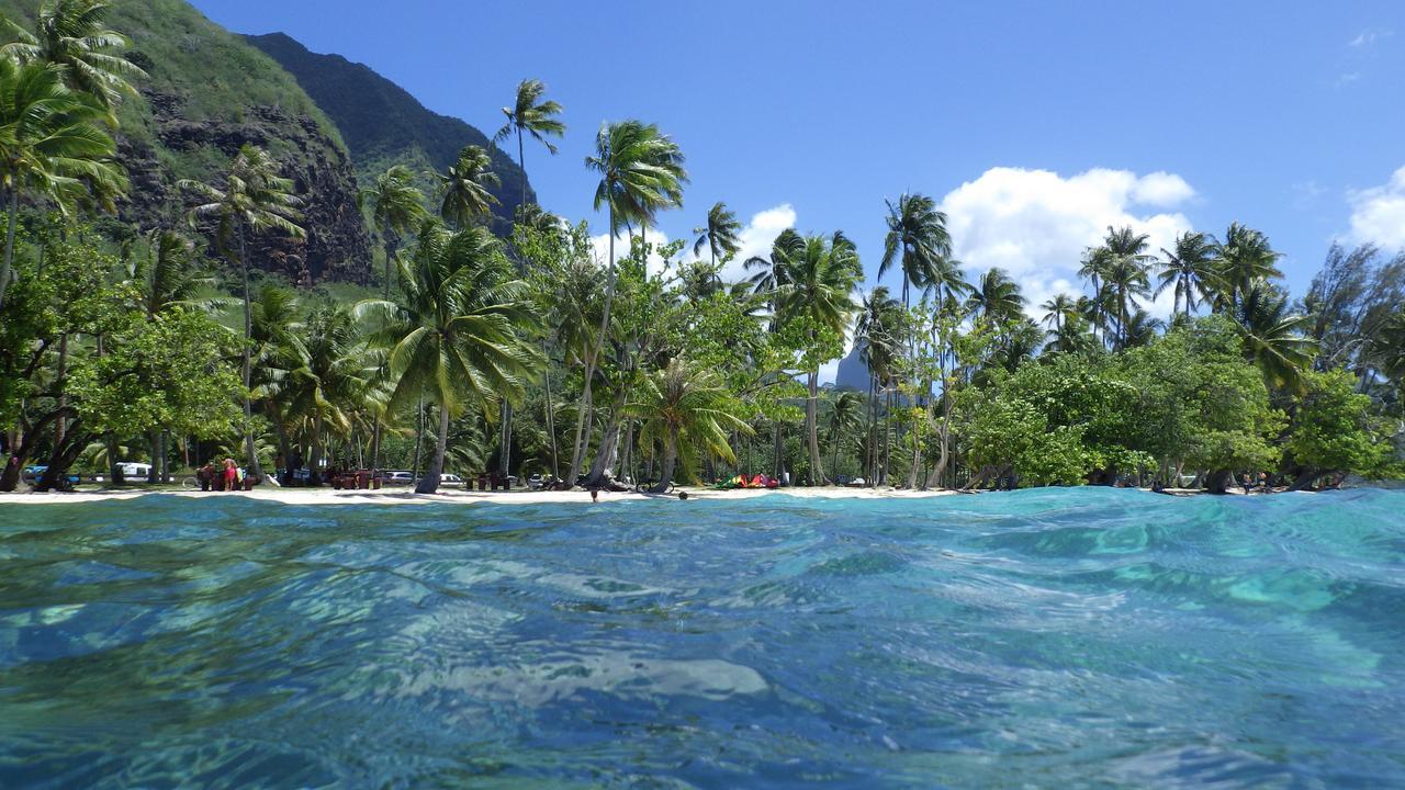 Hostel PainaPaopao Backpacker Moorea Zewnętrze zdjęcie